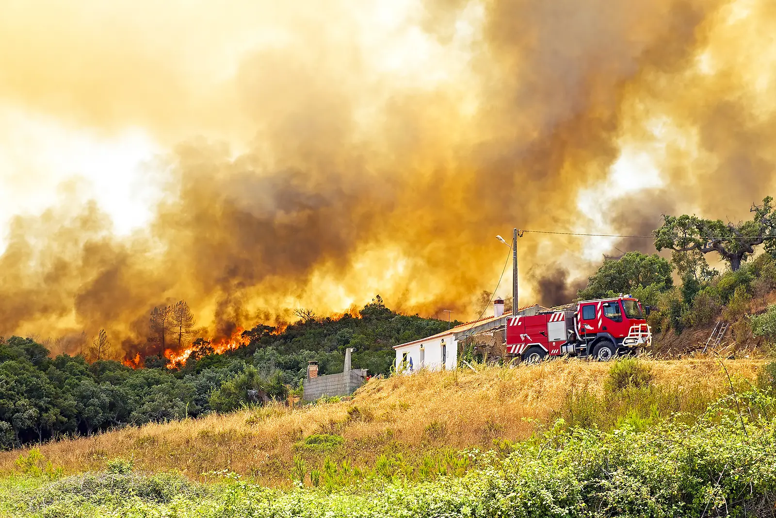 How to Prepare Your Walnut Creek Rental for Fire Season